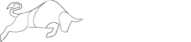 TNT Bolsa